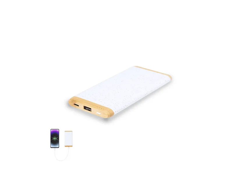 Power Bank Coquin